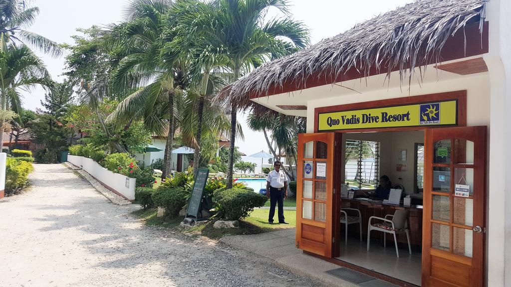 Quo Vadis Dive Resort Moalboal Exterior photo