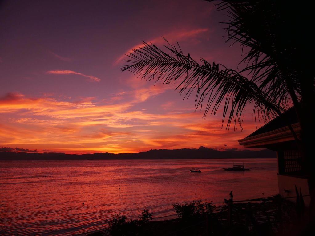 Quo Vadis Dive Resort Moalboal Exterior photo